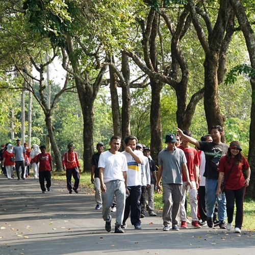 Portfolio Image